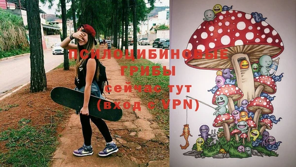 а пвп мука Аркадак