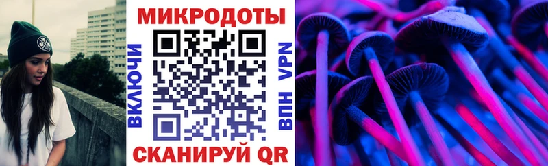 Галлюциногенные грибы Psilocybine cubensis где продают наркотики Пустошка