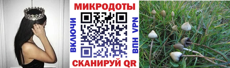 Псилоцибиновые грибы Psilocybine cubensis Пустошка